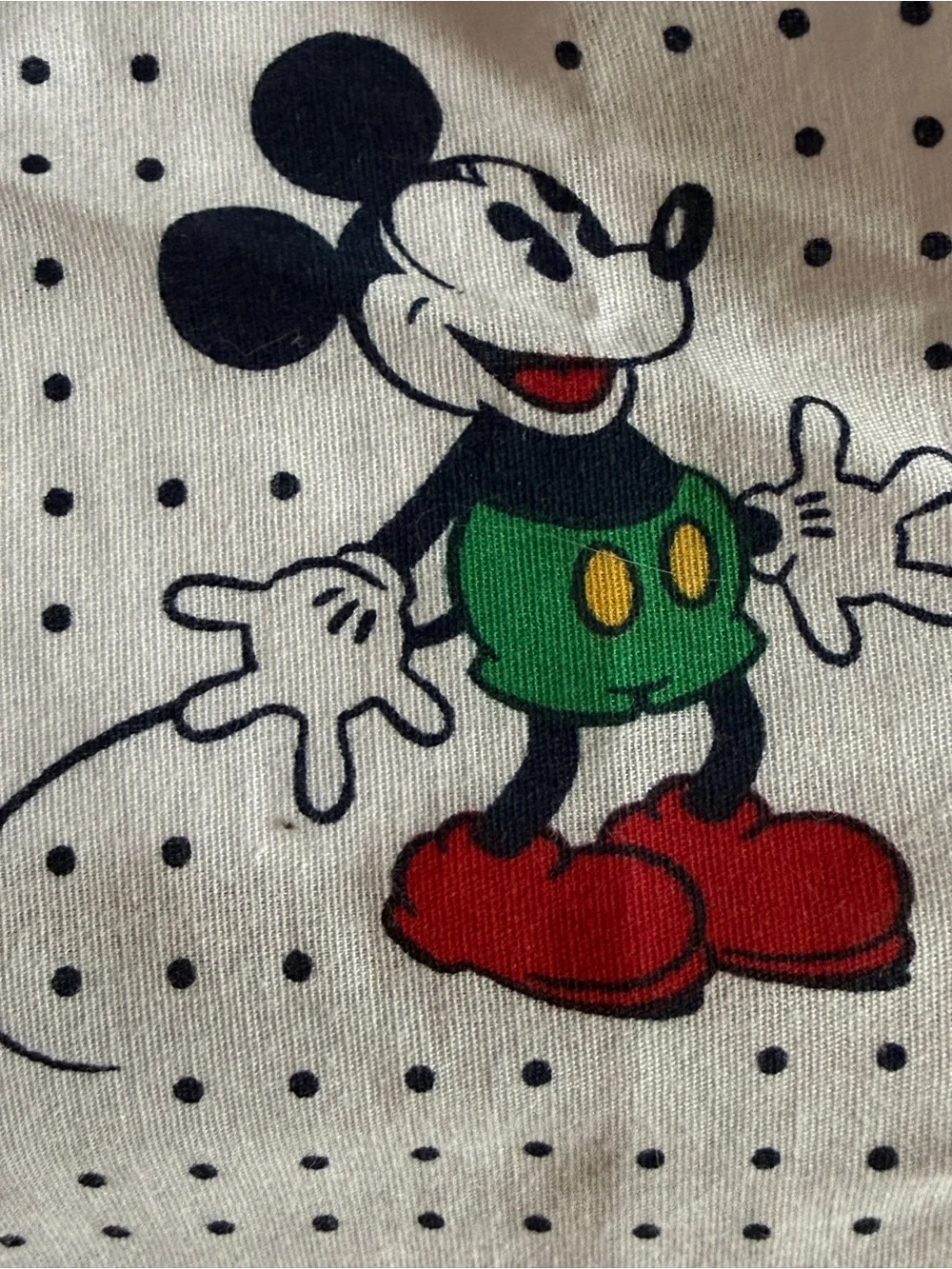 90’s Disney Kids Valance - 2 Pieces